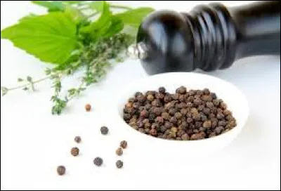 Le composant chimique du poivre qui provoque une sensation de brûlure dans la bouche s'appelle la capsaïcine.