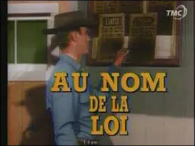 Qui tient le rôle principal dans l'ancienne série américaine "Au nom de la loi" ?