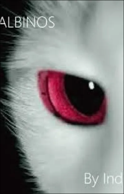 Quelle est la couleur de tes yeux ?