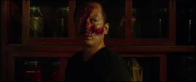 D'où vient cette image ?