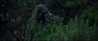 D'où vient cette image ?