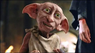 Qui est le maître de Dobby ?