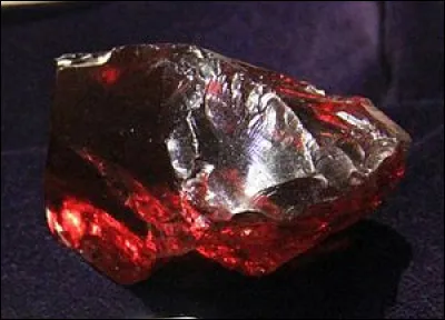 Comment appelle-t-on la pierre qui rend immortel ?