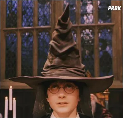 Dans quelle maison le choixpeau voulait-il envoyer Harry avant de l'envoyer chez les Griffondor ?