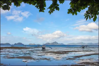Île suit la progression de Will Farnaby, journaliste et agent pour un magnat du pétrole, naufragé sur l'île fictive de Pala. est un roman de ...