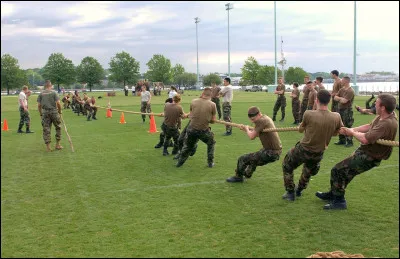 Faune de la campagne, c'est le...