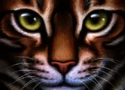 Quiz Le physique des chats de LGDC (quizz facile)