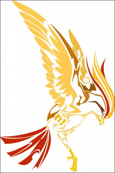 Roucarnage vient de...