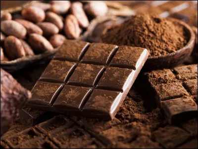 Qui est le premier navigateur à rapporter du chocolat en Europe, en 1519 ?