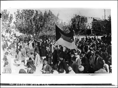 Apr&egrave;s que ce pays a proclam&eacute; son ind&eacute;pendance le 8 mars 1920, la France qui a re&ccedil;u un mandat de la SDN, l'occupe ; apr&egrave;s la bataille de Maysaloun le 24 juillet, son arm&eacute;e, conduite par les g&eacute;n&eacute;raux Gouraud et Goybet, entre dans la capitale le 20 ao&ucirc;t. De quel pays s'agit-il ?