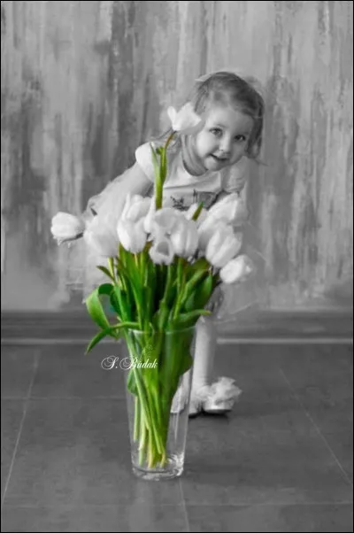 Qui chantait "Les Marquises" ?