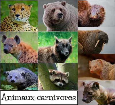 Qui a &eacute;crit "La Ferme africaine" ?