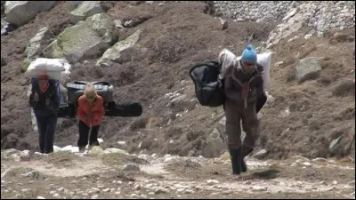 Quel est le nom des guides ou porteurs d'une expédition en haute montagne dans l'Himalaya ?