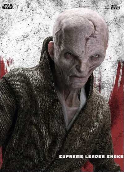 Le Suprême Leader Snoke est le maître de(s)