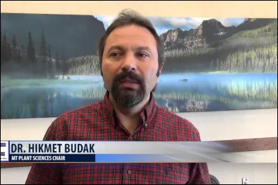 Que désigne la pogonophobie ?