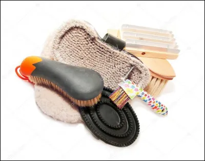 Qu'est-ce qui permet de d&eacute;crasser un cheval tr&egrave;s sale ?