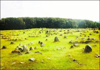 Pour finir, comme je vous sens un peu là, voici les célèbres alignements vikings de ...