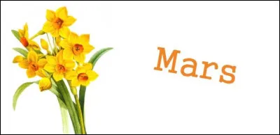 Pour qui allons-nous voter au mois de mars prochain ?