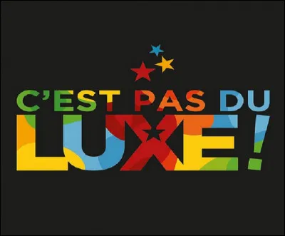 Quelle fondation qui accueille, soutient et accompagne des personnes en grande précarité a créé le festival ''C'est pas du luxe !''