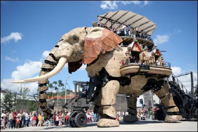Quel est le nom de cette compagnie de théâtre de rue française ?