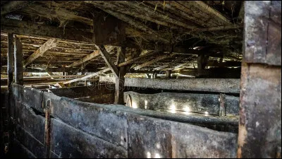 De quelle ville les Tagarins sont-ils les habitants ?