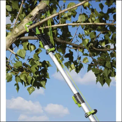 Cette serpe à long manche sert à émonder les arbres.