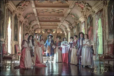 Quel roi, fils d'Anne d'Autriche est associé au luxe ?