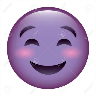 Laquelle de ces marques de pâtes avez-vous le plus l'habitude de consommer ?