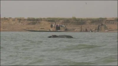 Quel fleuve traverse le Mali?