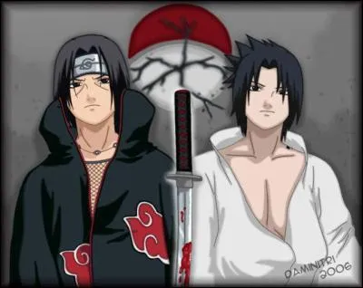 De quoi hrite Sasuke aprs avoir tu son frre ?