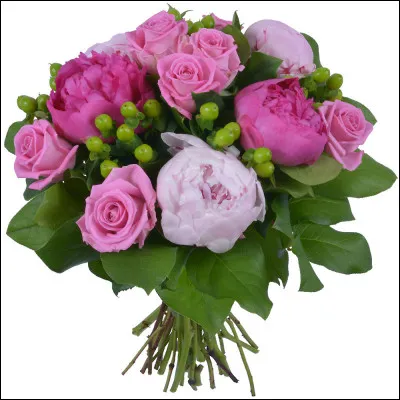 Locataire d'un ... - Mais laissez-lui un peu ses ... à garder - Son ... !