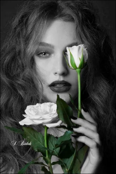 À quelle marque doit-on associer "Flower" ?