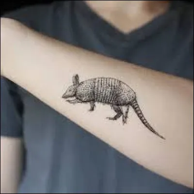 Mettez les homonymes à la bonne place !
Le _______ de Régis représente un _______.