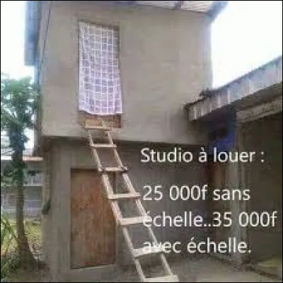 Complétez correctement cette phrase !
Raoul a _____ l'absence de _____ en plaçant une échelle.