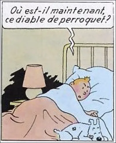 Pour finir, l'on devine bien qu'ici, Tintin ne dort que d'une « Oreille ... » (Complétez !)