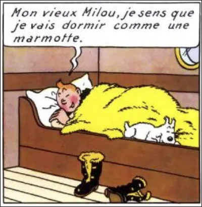On est tout de même mieux dans un lit... Même si ce n'est pas à la maison ! Où se trouve notre héros ?