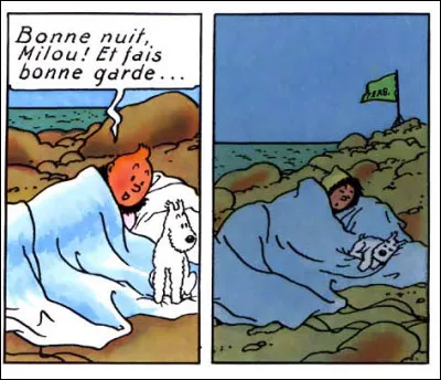 Il dort encore, mais cette fois-ci à la belle étoile - mystérieuse - non loin du drapeau de la F.E.R.S. Qu'est-ce donc que cette bestiole-là, la F.E.R.S ?