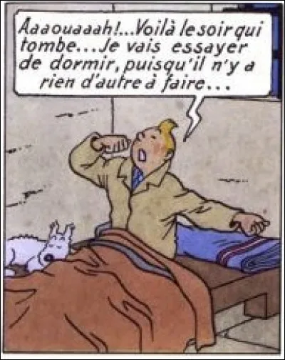 « Dormir à l'ombre » : s'il y en a un qui sait de quoi il s'agit, c'est bien notre héros ! Quel terme est le plus désuet pour nommer la prison ? Et dans quel album se situe celle-ci ?