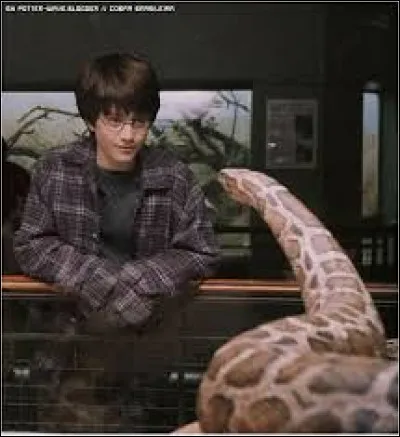 Quand Daniel Radcliffe est-il n&eacute; ?