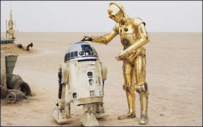 Le plus grand des deux s'appelle C-3PO !