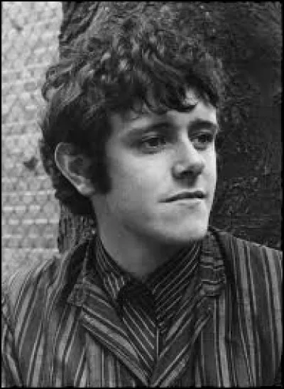 La chanson ''Mellow Yellow'' de Donovan est évoquée dans ''Rockollection'' de Laurent Voulzy.