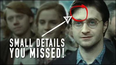 Qu'a fait Harry après avoir récupéré la baguette de sureau ?