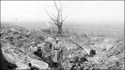 Surement l'une des batailles les plus meurtrières, Verdun opposait les soldats allemands aux soldats français en...