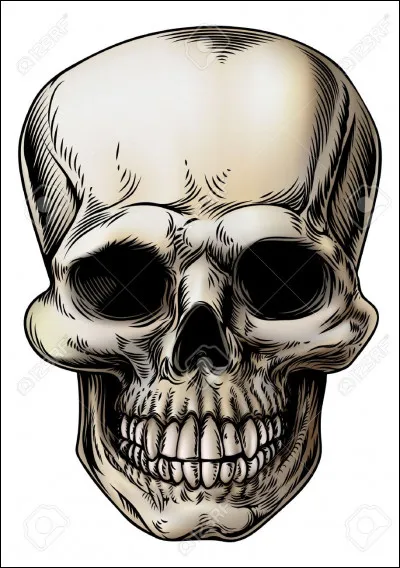 Penses-tu souvent à la mort ?