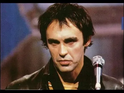 Qui interprète "Quand t'es dans le désert" ?