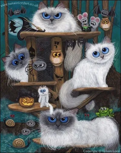 Quel était le nombre de chats polydactyles qu'Ernest Hemingway abritait sous son toit ?