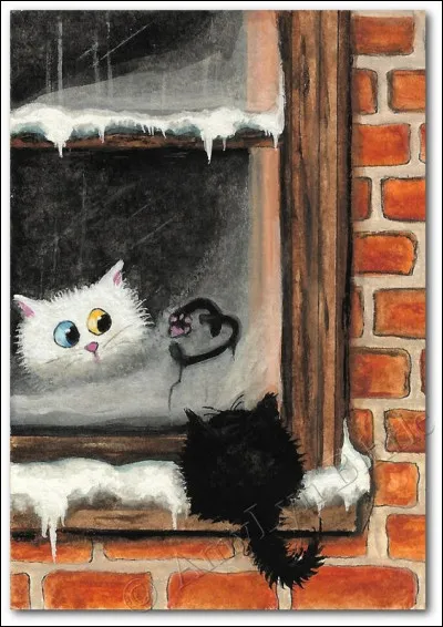 Quel miroir peut permettre d'observer sans être vu ?