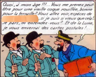 Alors qu'ils sont habillés correctement - pour une fois - les Dupondt se voient copieusement enguirlandés par le capitaine Haddock. De quoi les traite-t-il ?