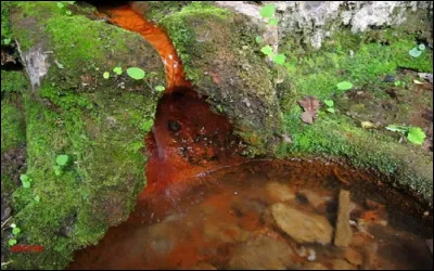 Qui est l'interprète du sketch ''L'eau ferrugineuse'' ?