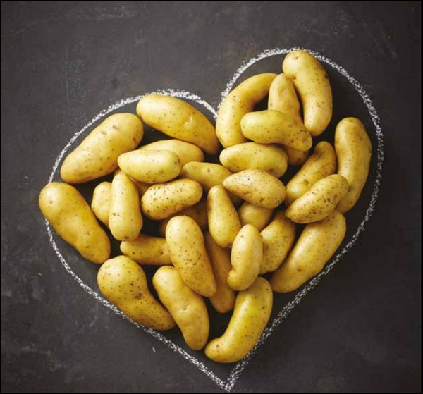 Cette variété de pommes de terre, à chair ferme et au goût de châtaigne, est cultivée exclusivement sur la Côte d'Opale et en Picardie. C'est...